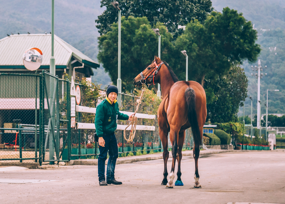 The Hong Kong Jockey Club