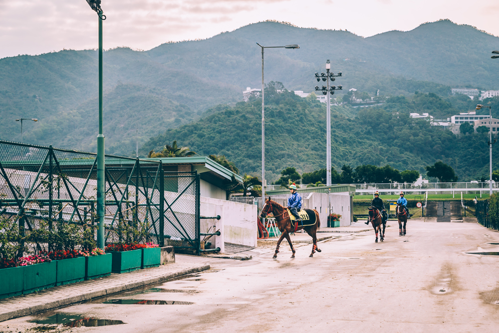 The Hong Kong Jockey Club