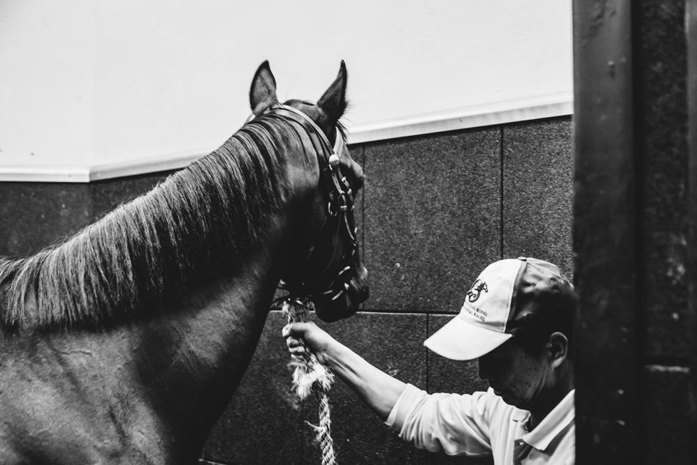 The Hong Kong Jockey Club