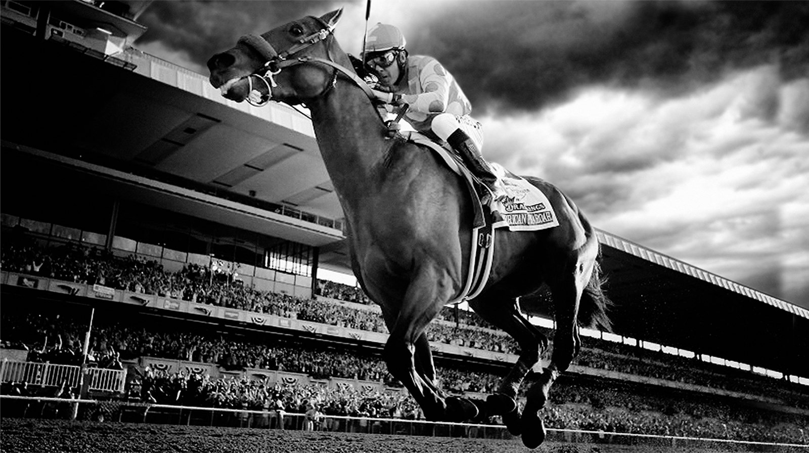 Longines World’s Best Racehorse