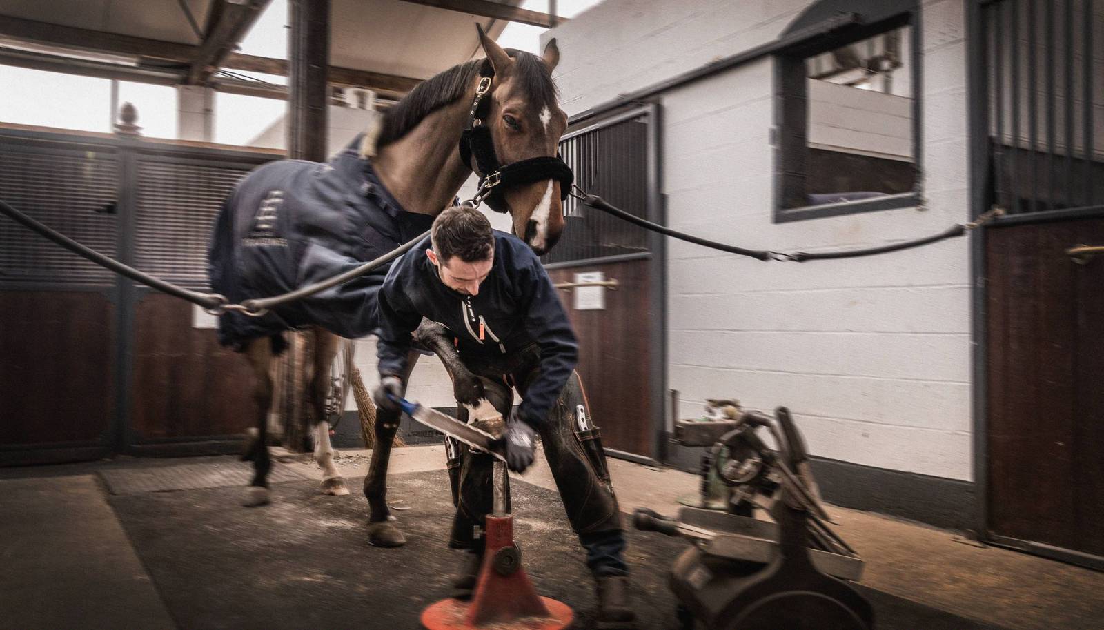 Longines World’s Best Racehorse