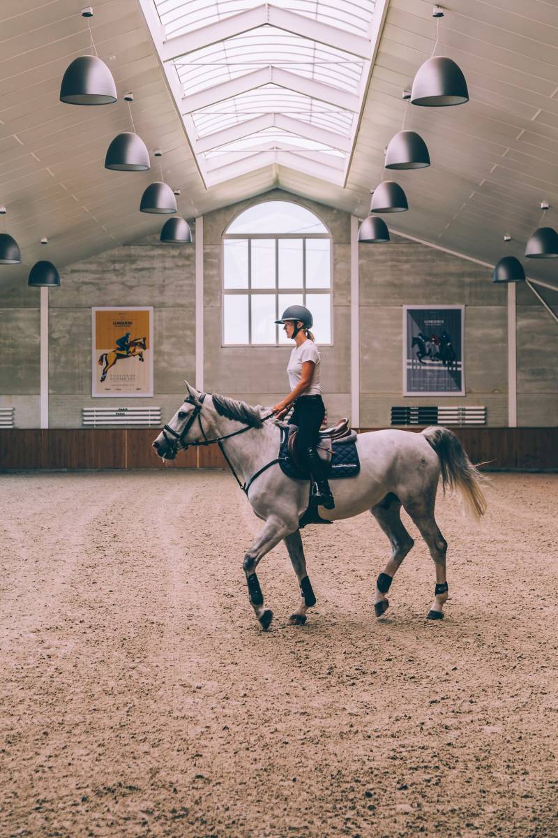 Longines World’s Best Racehorse
