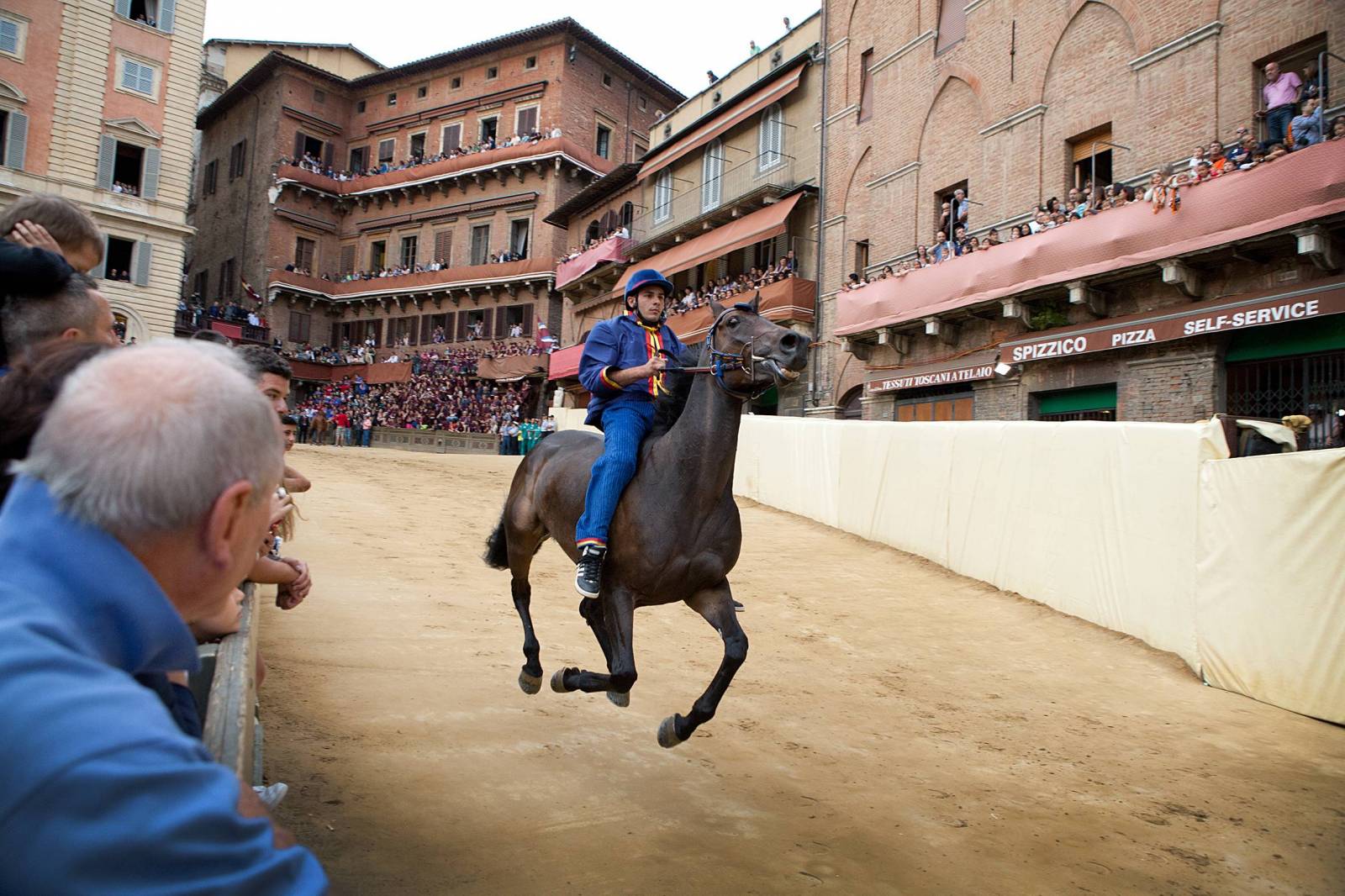 Longines World’s Best Racehorse