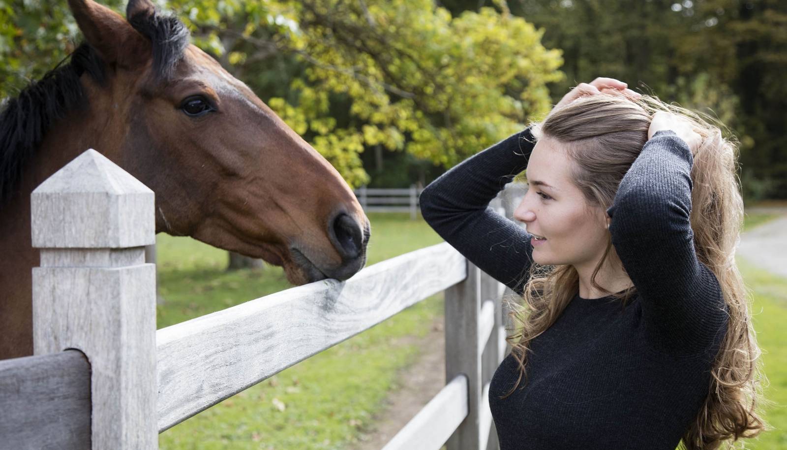 Longines World’s Best Racehorse