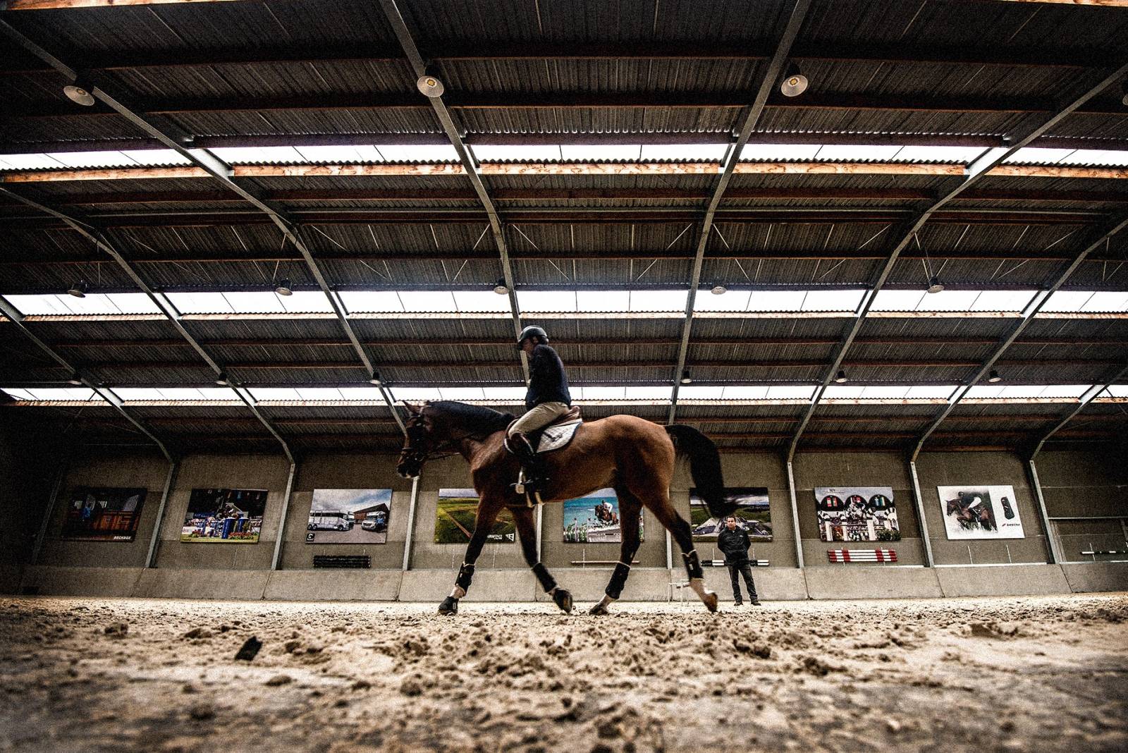 Longines World’s Best Racehorse